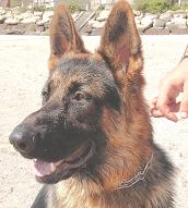 Caballetes para pintura